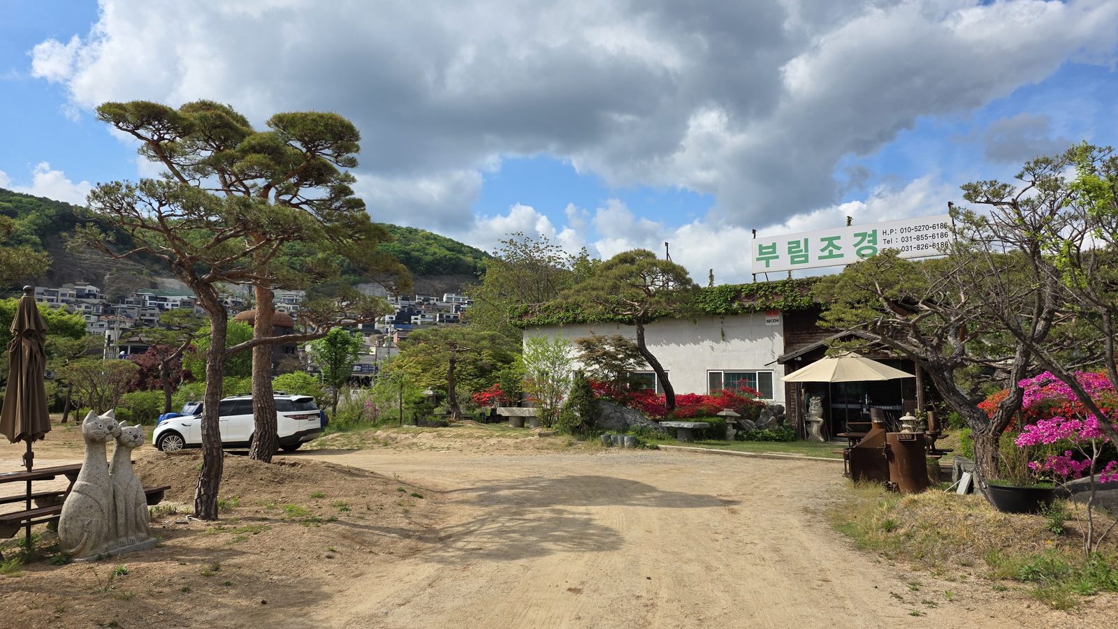부림조경 농원 마당 — 넓은 부지에 자리한 조형 소나무들